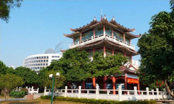 1619331455350709.jpg n3.jpg